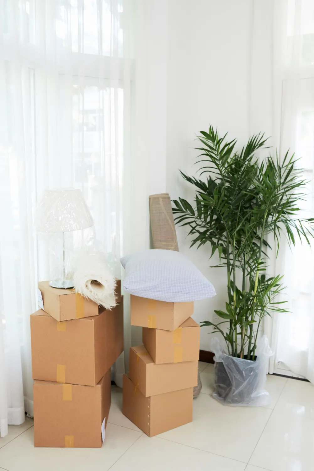 Move-In Move-Out cleaning service