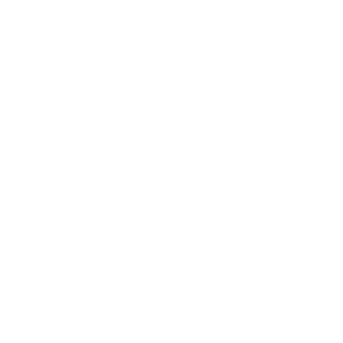 Brazilian Cleaning GA LLC Logo